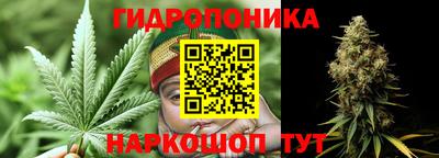 прущие грибы Ликино-Дулёво